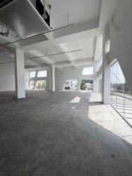 Upper Changi Road North (D17), Shop House #613104261